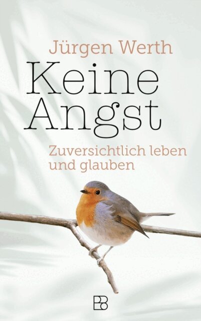 Jurgen Werth - Keine Angst, E-bok