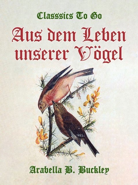 Arabella B. Buckley - Aus dem Leben unserer Vögel, E-bok