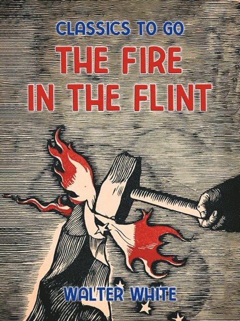 Walter White - Fire in the Flint, E-bok