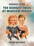 The Bobbsey Twins At Meadow Brook
