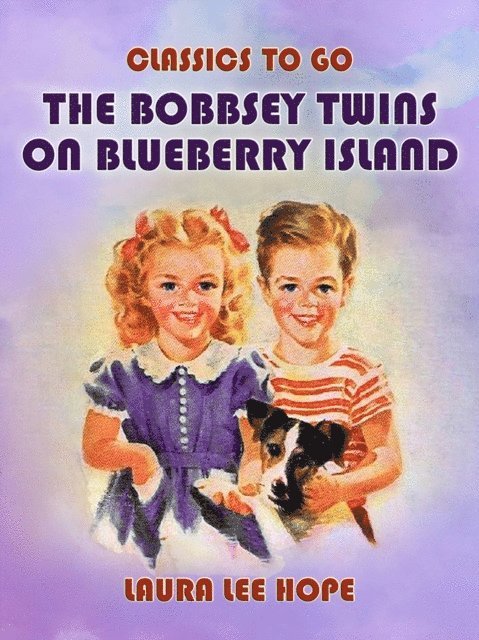 Laura Lee Hope - Bobbsey Twins On Blueberry Island, E-bok