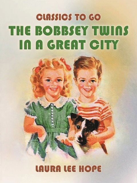 Laura Lee Hope - Bobbsey Twins In A Great City, E-bok
