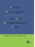 Als ich noch der Waldbauernbub war