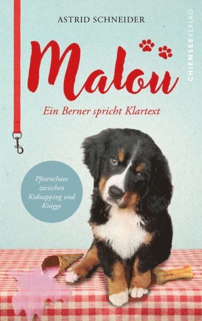 Astrid Schneider - Malou - ein Berner spricht Klartext, E-bok