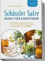 Karolin Fischer - Schüssler Salze Buch für Einsteiger: Die richtige Anwendung der 27 Salze individuell und leicht für mehr Energie, Gesundheit und Wohlbefinden - Schritt für Schritt von der Theorie bis zur Praxis, Häftad. Tillgänglighet: Lägg i varukorg