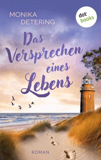 Monika Detering - Das Versprechen eines Lebens - oder: Der Sommer des Raben, E-bok