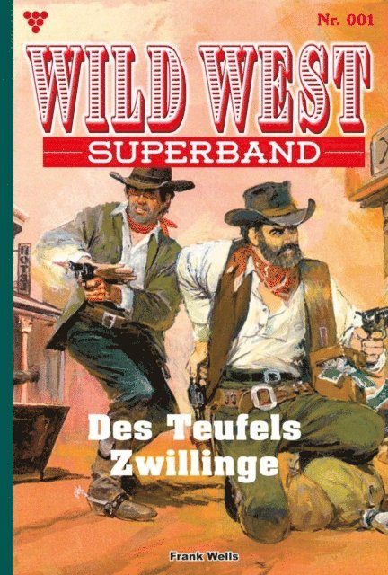 Frank Wells - Des Teufels Zwillinge, E-bok