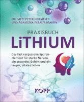 Peter Heilmeyer, Agnieszka Peralta Martin - Praxisbuch Lithium, Häftad