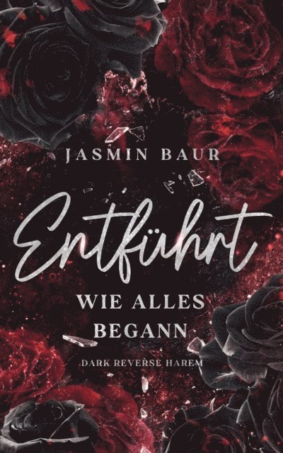 Jasmin Baur - Entführt, E-bok