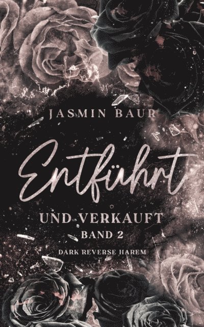 Jasmin Baur - Entführt und verkauft, E-bok