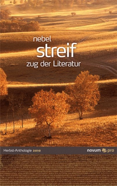 Wolfgang Bader - Querschnitte Herbst 2010, E-bok