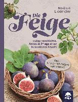 Die Feige