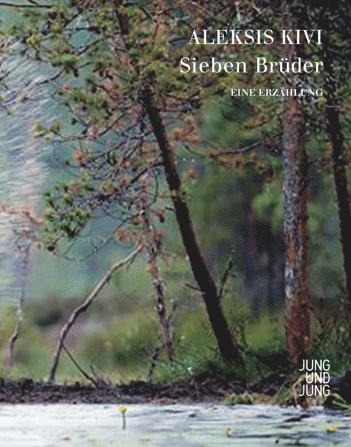 Aleksis Kivi - Sieben Brüder, E-bok