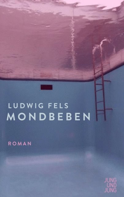 Ludwig Fels - Mondbeben, E-bok
