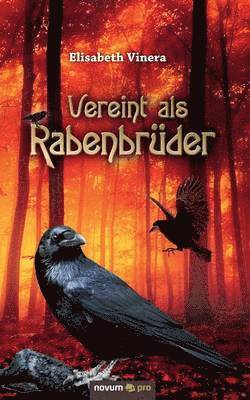 Elisabeth Vinera - Vereint als Rabenbrüder, Häftad
