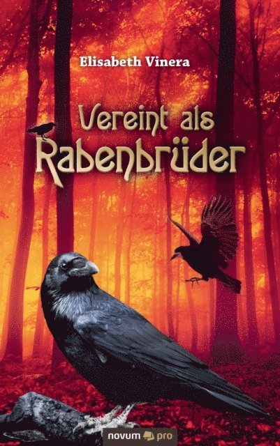 Elisabeth Vinera - Vereint als Rabenbrüder, E-bok
