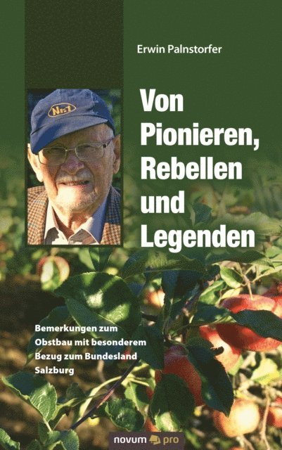 Erwin Palnstorfer - Von Pionieren, Rebellen und Legenden, E-bok
