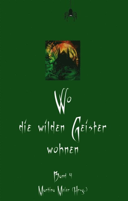 Martina Meier - Wo die wilden Geister wohnen, E-bok