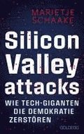 Silicon Valley attacks