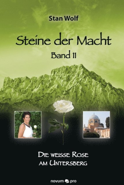 Stan Wolf - Steine der Macht – Band 11, E-bok