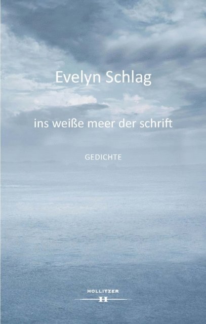 Evelyn Schlag - ins weiße meer der schrift, E-bok