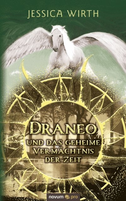Jessica Wirth - Draneo und das geheime Vermächtnis der Zeit, E-bok