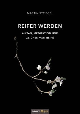Martin Striegel - Reifer werden, Häftad