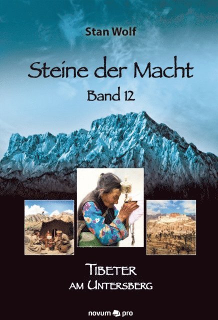 Stan Wolf - Steine der Macht – Band 12, E-bok