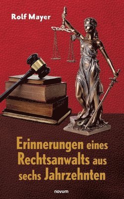 Rolf Mayer - Erinnerungen eines Rechtsanwalts aus sechs Jahrzehnten, Häftad