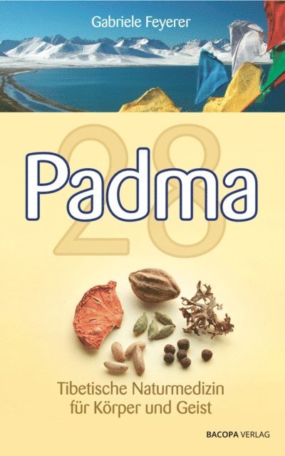 Gabriele Feyerer - Padma 28, E-bok