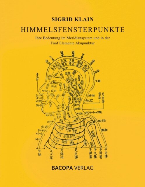 Sigrid Klain - Himmelsfensterpunkte, E-bok