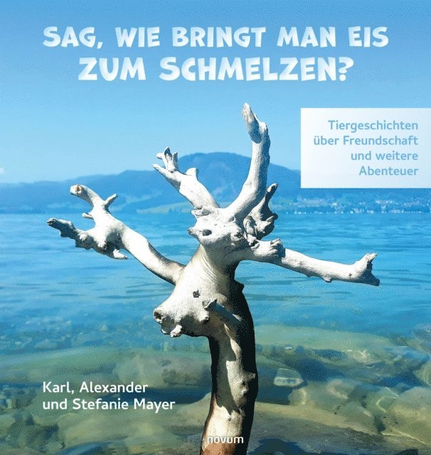 Stefanie Mayer, Alexander Mayer, Karl Mayer - Sag, wie bringt man Eis zum Schmelzen?, E-bok