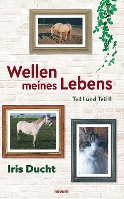 Iris Ducht - Wellen meines Lebens, Häftad