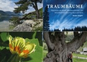 Walter Ziegler - Traumbäume, Inbunden