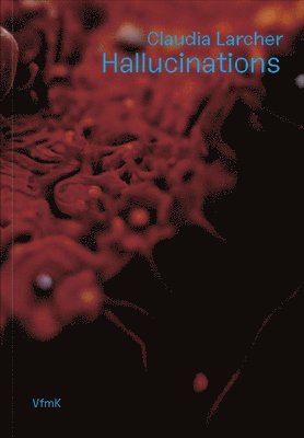 Christian Höller, Ivana Milos, Ruth Schib, Klaus Speidel, Kunstraum Engländerbau Vaduz, Claudia Larcher - Claudia Larcher: Hallucinations, Häftad