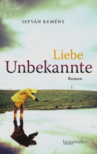 Istvan Kemeny - Liebe Unbekannte, E-bok