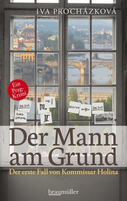 Iva Prochazkova - Der Mann am Grund, E-bok