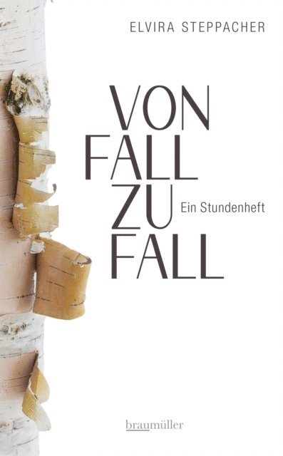 Elvira Steppacher - Von Fall zu Fall, E-bok
