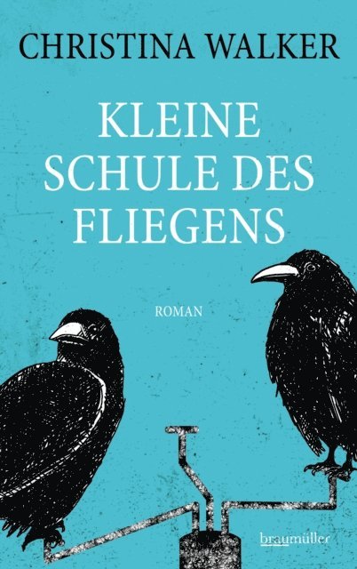 Christina Walker - Kleine Schule des Fliegens, E-bok