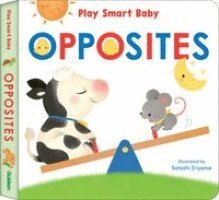 Play Smart Baby OPPOSITES, Kartonnage