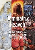 Dominatrix Heaven