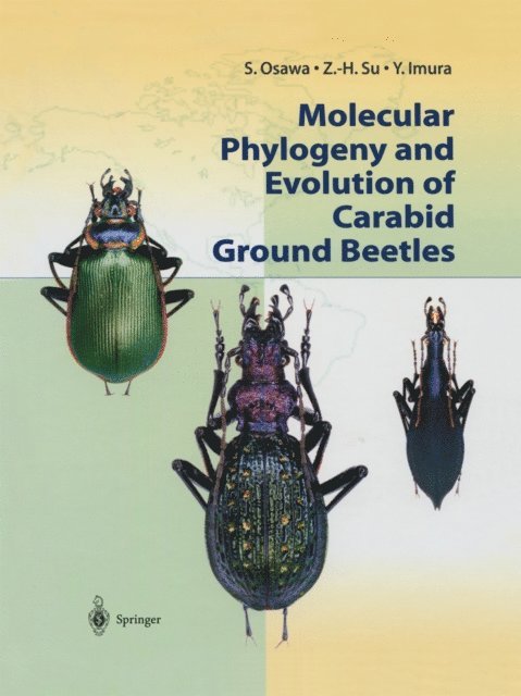 Y. Imura, Z.-H. Su, S. Osawa - Molecular Phylogeny and Evolution of Carabid Ground Beetles, E-bok