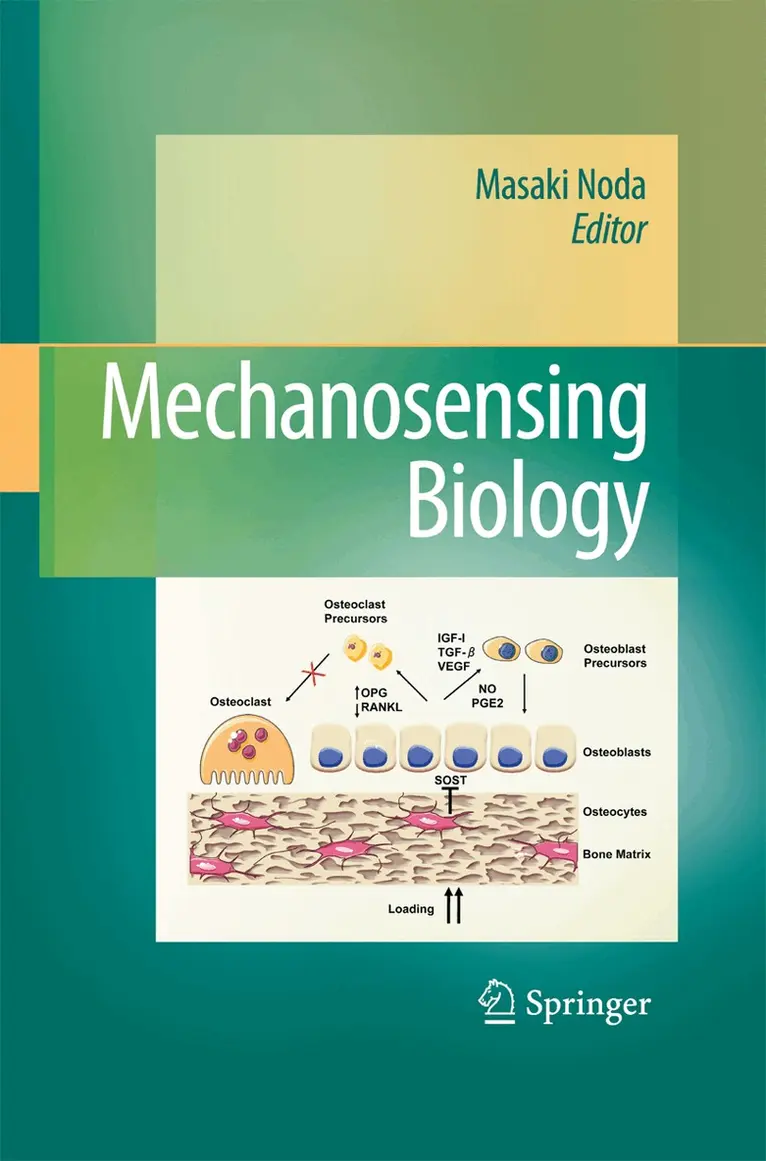 Masaki Noda - Mechanosensing Biology, Häftad. Tillgänglighet: Lägg i varukorg