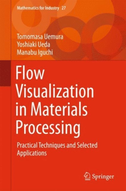 Manabu Iguchi, Yoshiaki Ueda, Tomomasa Uemura - Flow Visualization in Materials Processing, E-bok