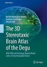 The 3D Stereotaxic Brain Atlas of the Degu
