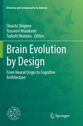 Brain Evolution by Design