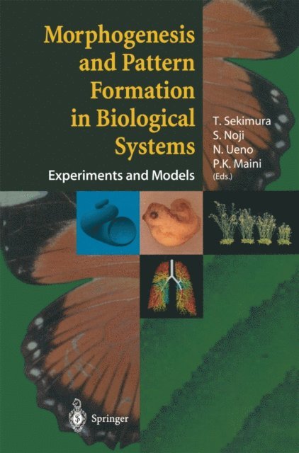 Philip Maini, N. Ueno, S. Noji, T. Sekimura - Morphogenesis and Pattern Formation in Biological Systems, E-bok