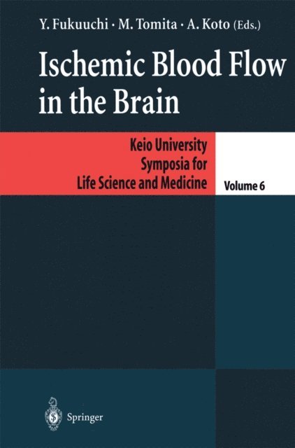A. Koto, M. Tomita, Y. Fukuuchi - Ischemic Blood Flow in the Brain, E-bok