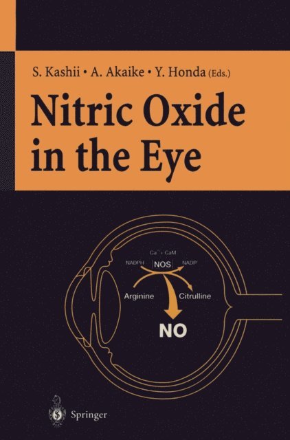 Y. Honda, A. Akaike, S. Kashii - Nitric Oxide in the Eye, E-bok
