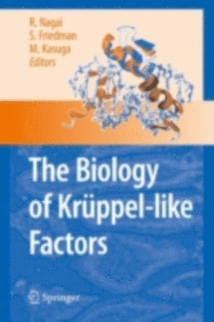 Masato Kasuga, Scott L. Friedman, Ryozo Nagai - Biology of Kruppel-like Factors, E-bok